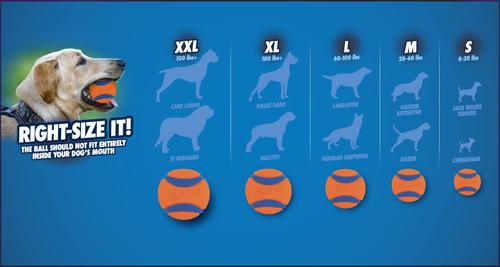 Show full view: Chuckit! Ultra Squeaker Ball Dog Toy slide 4 of 7