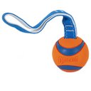 Chuckit! Ultra Tug Ball Tough Dog Toy, Large