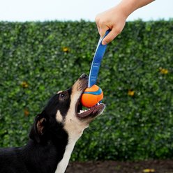 Chuckit! Ultra Tug Ball Tough Dog Toy, Large slide 2 of 4