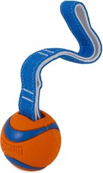 Chuckit! Ultra Tug Ball Tough Dog Toy, Medium