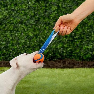Show full view: Chuckit! Ultra Tug Ball Tough Dog Toy, Small slide 2 of 6