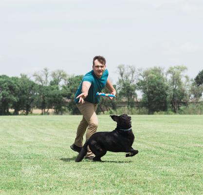 Show full view: Chuckit! Whistle Flight Dog Toy, Multi slide 4 of 6