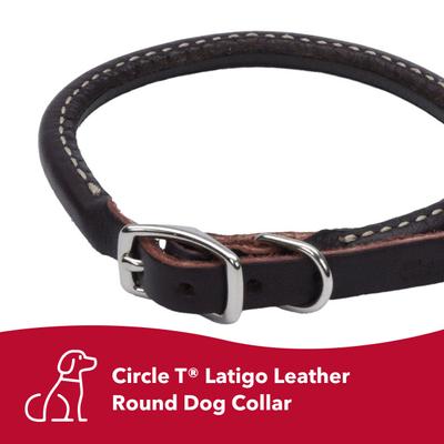 Show full view: Circle T Latigo Leather Round Standard Dog Collar, Medium: 18-in neck, 3/4-in wide slide 2 of 8