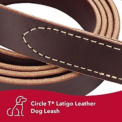 Circle T Latigo Leather Standard Dog Leash, 6-ft long, 1-in wide slide 2 of 6