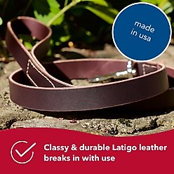 Circle T Latigo Leather Standard Dog Leash, 6-ft long, 3/4-in wide slide 2 of 6