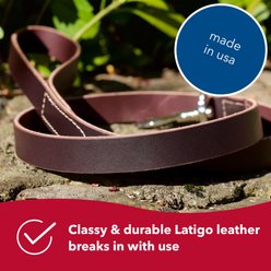Circle T Latigo Leather Standard Dog Leash, 6-ft long, 5/8-in wide slide 2 of 6
