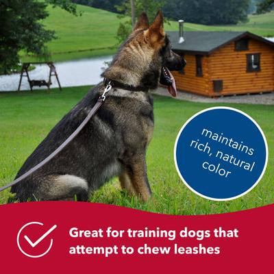 Show full view: Circle T Latigo Leather Standard Dog Leash, 6-ft long, 5/8-in wide slide 4 of 6