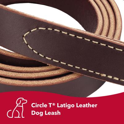 Show full view: Circle T Latigo Leather Standard Dog Leash, 6-ft long, 5/8-in wide slide 2 of 6