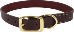 Circle T Latigo Leather Town Solid Brass Hardware Standard Dog Collar, Large: 22-in neck, 1-in wide