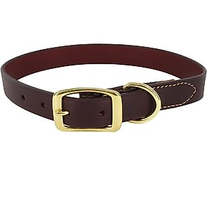 CIRCLE T Latigo Leather Town Standard Dog Collar, Large: 22-in