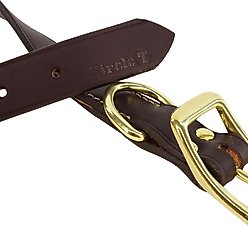 Circle T Latigo Leather Town Solid Brass Hardware Standard Dog Collar, Large: 22-in neck, 1-in wide slide 2 of 5