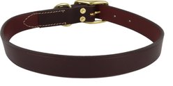 Circle T Latigo Leather Town Solid Brass Hardware Standard Dog Collar, Medium: 18-in neck, 3/4-in wide slide 2 of 5