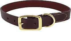 Circle T Latigo Leather Town Solid Brass Hardware Standard Dog Collar, Small: 14-in neck, 5/8-in wide