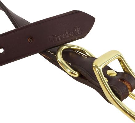 Show full view: Circle T Latigo Leather Town Solid Brass Hardware Standard Dog Collar, Small: 14-in neck, 5/8-in wide slide 3 of 5
