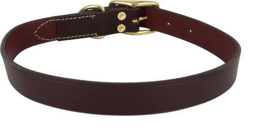 Show full view: Circle T Latigo Leather Town Solid Brass Hardware Standard Dog Collar, Small: 14-in neck, 5/8-in wide slide 2 of 5