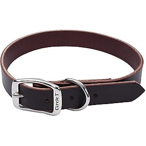Circle T Latigo Leather Town Standard Dog Collar, Medium: 18-in neck, 3/4-in wide