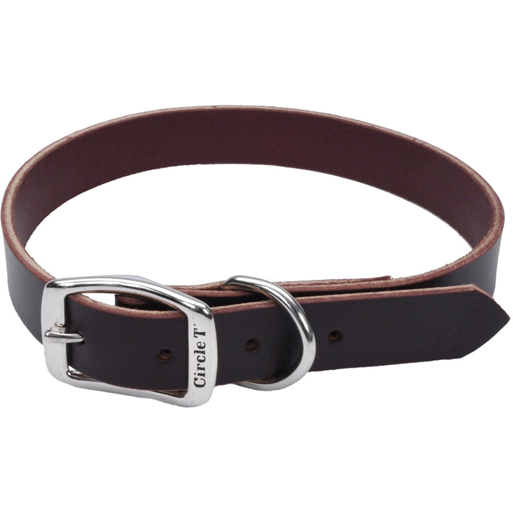Circle T Latigo Leather Town Standard Dog Collar, Medium: 20-in neck, 3/4-in wide
