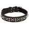 Show in main carousel: Circle T Oak Tanned Leather Double-Ply Spiked Standard Dog Collar, Black, Large: 26-in neck, 1/2-in wide slide 1 of 8