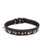 Show in main carousel: Circle T Oak Tanned Leather Double-Ply Spiked Standard Dog Collar, Black, Medium: 20-in neck, 1-in wide slide 1 of 8