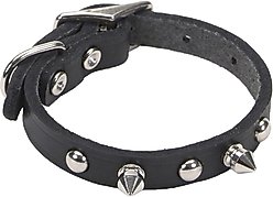 Circle T Oak Tanned Leather Spiked Standard Dog Collar, Black, Small: 12-in neck, 3/8-in wide