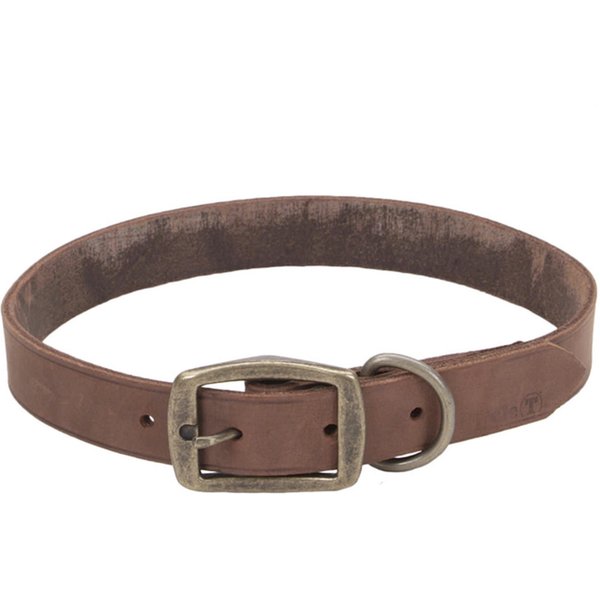 HOOEY Nomad Ployester Standard Dog Collar