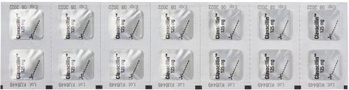 Show full view: Clavacillin (amoxicillin trihydrate/clavulanate potassium) Tablets for Dogs & Cats, 125-mg, 1 tablet slide 4 of 8