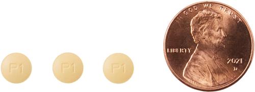 Show full view: Clavacillin (amoxicillin trihydrate/clavulanate potassium) Tablets for Dogs & Cats, 62.5-mg, 1 tablet slide 5 of 8