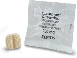 Clavamox (Amoxicillin / Clavulanate Potassium) Chewable Tablets for Dogs & Cats, 250-mg, 1 tablet slide 2 of 4