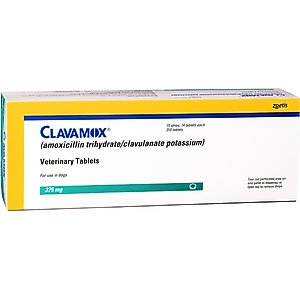 Enrofloxacin (Generic) Flavored Tablets for Dogs & Cats