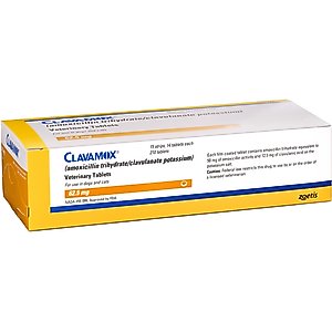 Clavamox (Amoxicillin / Clavulanate Potassium) Chewable Tablets for Dogs & Cats, 62.5-mg, 1 tablet
