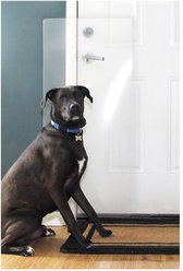 CLAWGUARD Heavy Duty Door Scratch Shield, 44 x 20 in