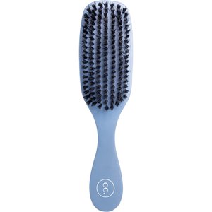 Clean Coats Gentle Pet Brush, Blue