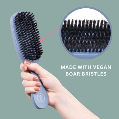Show full view: Clean Coats Gentle Pet Brush, Blue slide 2 of 4