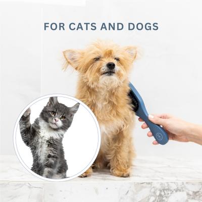 Show full view: Clean Coats Gentle Pet Brush, Blue slide 4 of 4