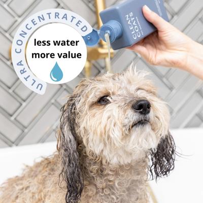 Show full view: Clean Coats Oatmeal & Aloe Sensitive Skin Dog Shampoo, Fragrance Free, 10-fl oz bottle slide 2 of 8