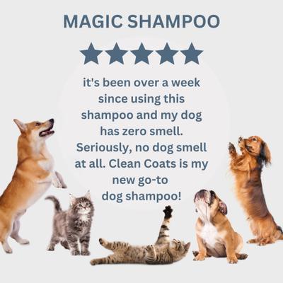 Show full view: Clean Coats Oatmeal & Aloe Sensitive Skin Dog Shampoo, Fragrance Free, 10-fl oz bottle slide 5 of 8