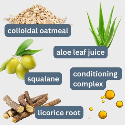 Show full view: Clean Coats Oatmeal & Aloe Sensitive Skin Dog Shampoo, Fragrance Free, 10-fl oz bottle slide 3 of 8