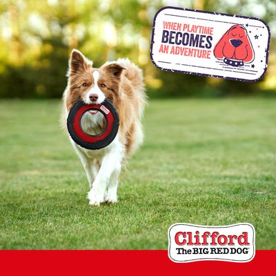 Show full view: Clifford The Big Red 9.25-in Durable Flying Disc Dog Toy, Red/Black slide 7 of 10