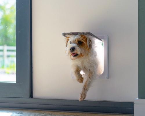 Show full view: Closer Pets Cat Mate Large Cat/Small Dog 4-Way Self Lining Door, White slide 7 of 11