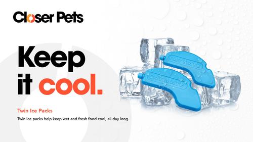 Show full view: Closer Pets Five-meal Automatic Cat & Dog Feeder with Digital Timer, White slide 8 of 10