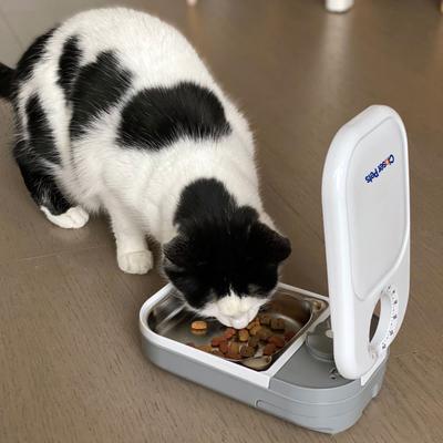 Show full view: Closer Pets One-Meal Automatic Timed Dog & Cat Feeder slide 6 of 7