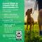 Show in main carousel: Cloud Star Dynamo Dog Hip & Joint Chicken Formula Grain-Free Soft Chew Dog Treats, 14-oz bag slide 8 of 11