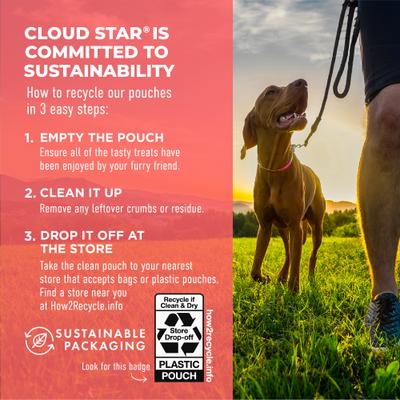 Show full view: Cloud Star Dynamo Dog Skin & Coat Salmon Formula Grain-Free Soft Chew Dog Treats, 14-oz bag slide 8 of 11