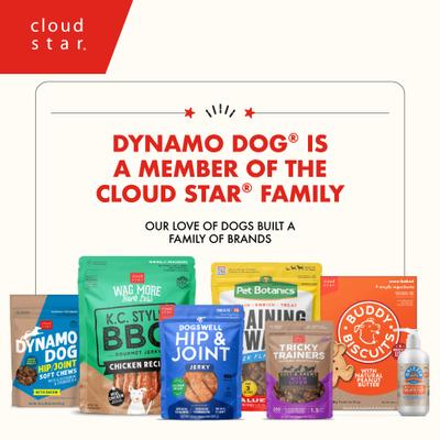 Show full view: Cloud Star Dynamo Dog Skin & Coat Salmon Formula Grain-Free Soft Chew Dog Treats, 14-oz bag slide 7 of 11