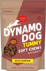 Cloud Star Dynamo Dog Tummy Pupmkin & Ginger Formula Grain-Free Soft Chew Dog Treats, 14-oz bag