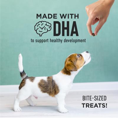 Show full view: Cloud Star Tricky Trainers Lamb Puppy Soft & Chewy Dog Treats, 5-oz bag slide 6 of 9