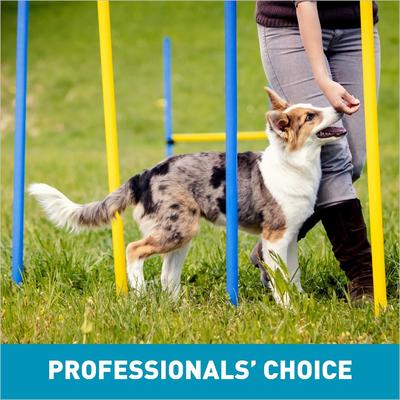 Show full view: Cloud Star Tricky Trainers Salmon Flavor Crunchy Dog Treats, 8-oz bag slide 7 of 10