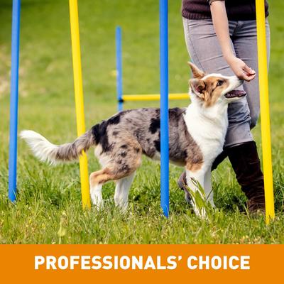 Show full view: Cloud Star Tricky Trainers with Cheddar Crunchy Dog Treats, 12-oz bag slide 8 of 11