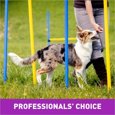 Show full view: Cloud Star Tricky Trainers with Liver Crunchy Dog Treats, 8-oz bag slide 7 of 10