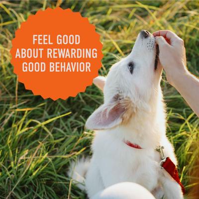 Show full view: Cloud Star Tricky Trainers with Peanut Butter Grain-Free Soft & Chewy Dog Treats, 5-oz bag slide 7 of 10